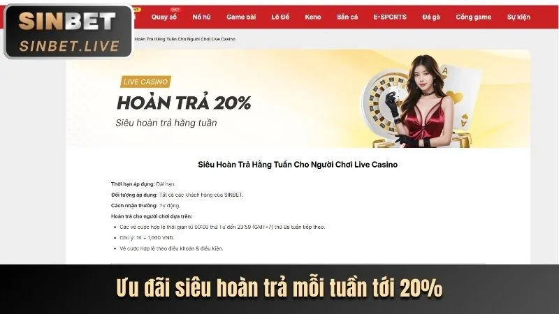 Khuyến mãi hấp dẫn 55lat